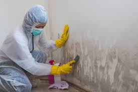  Country Knolls, NY Mold Removal Services Pros